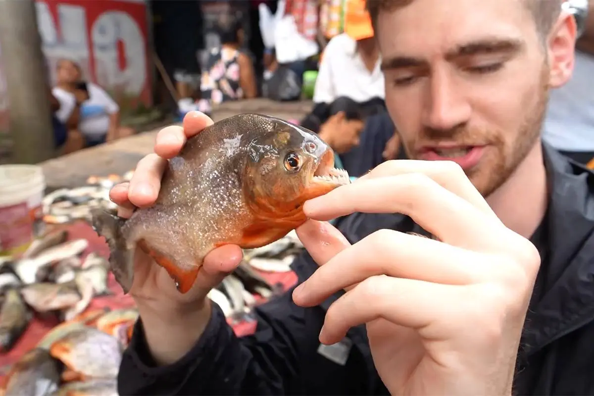 thumb vk bizar vloggers laten grootste illegale dierenmarkt van peru zien
