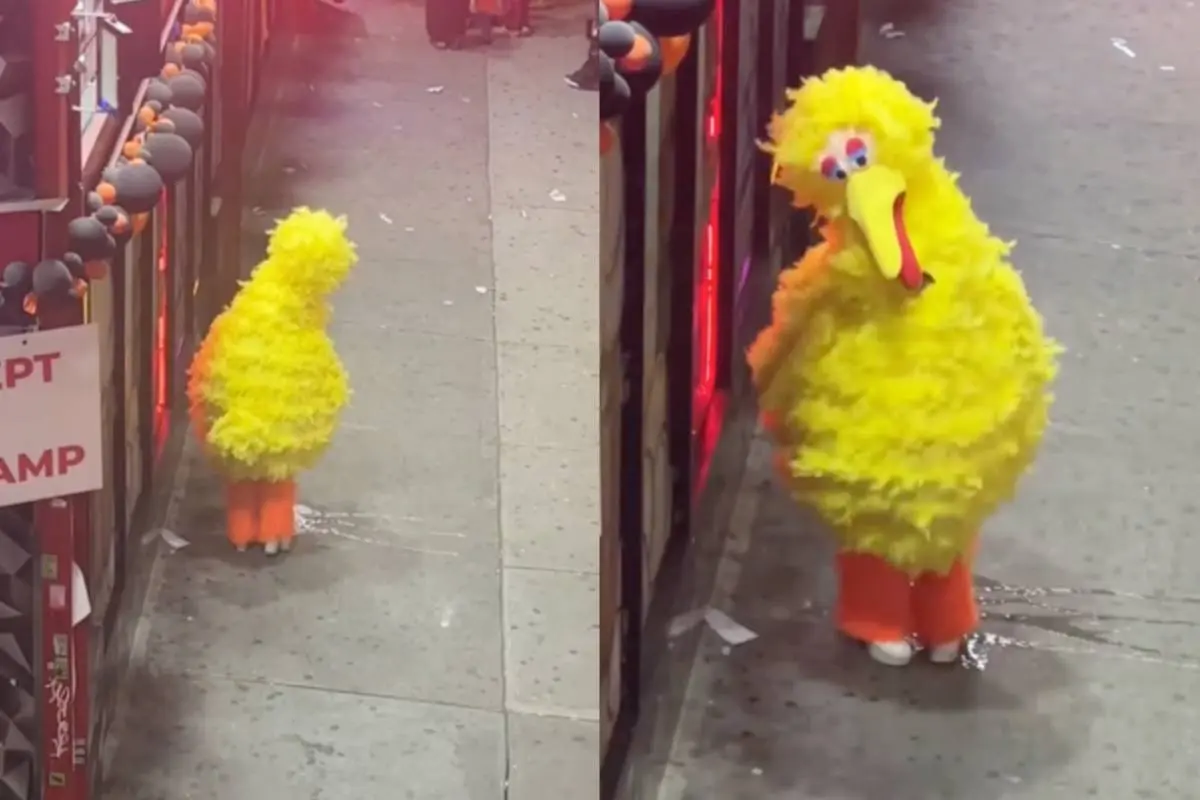 thumb_big_bird_big_pee