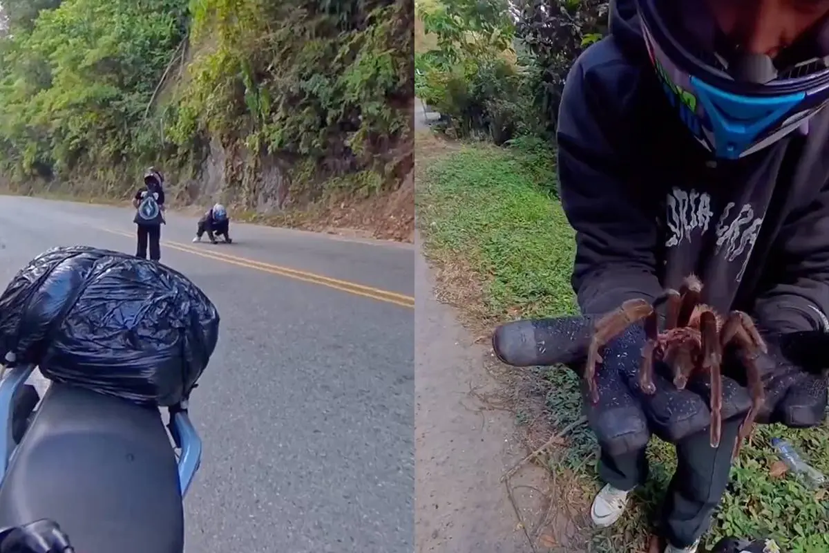 thumb_viraal_spin_colombia
