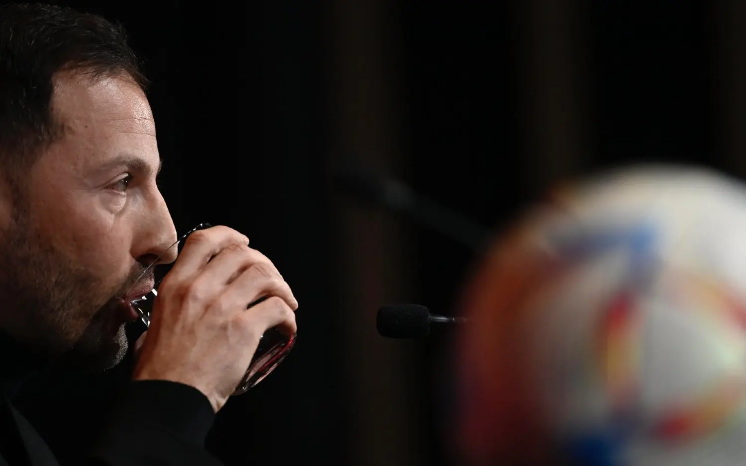 230318domenicotedesco