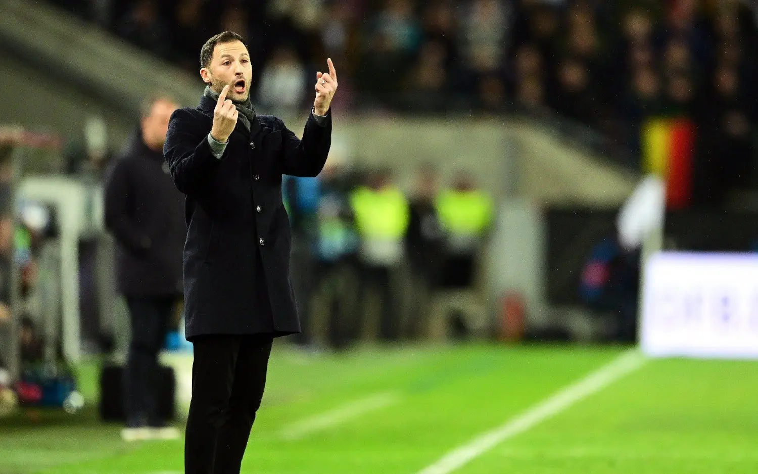 230331domenicotedesco