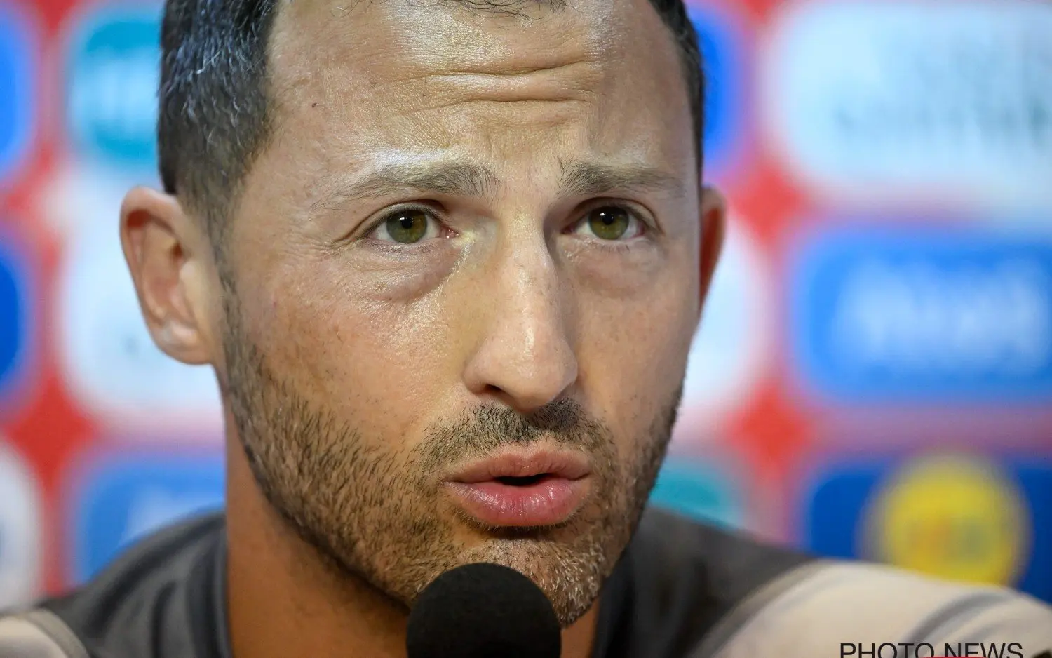 230908domenicotedesco