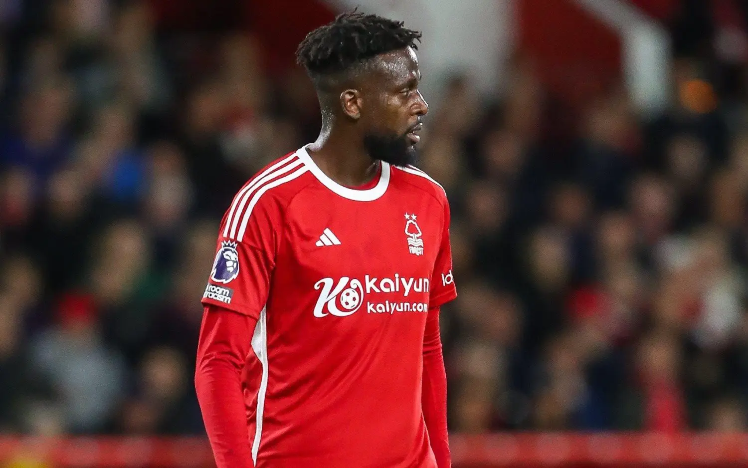 231016divockorigi
