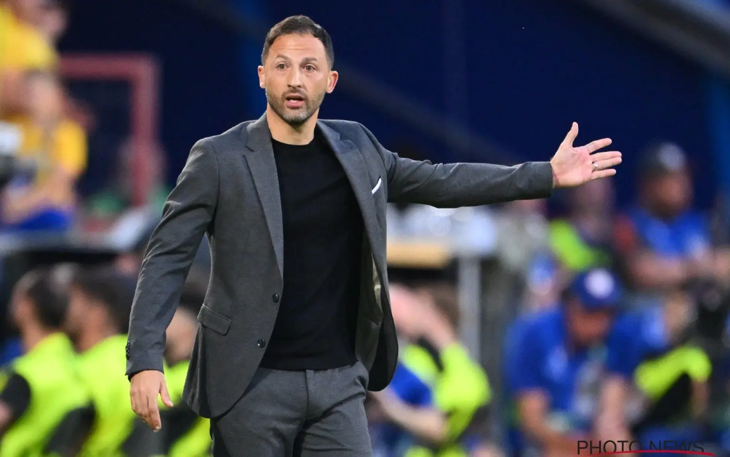 240623domenicotedesco