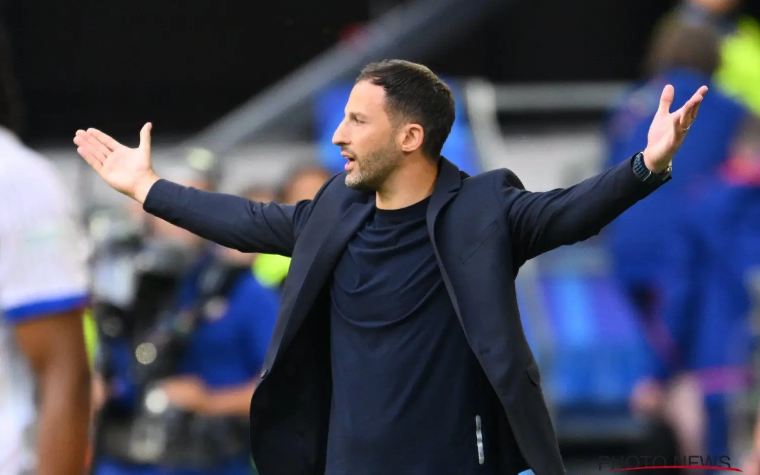 240701domenicotedesco