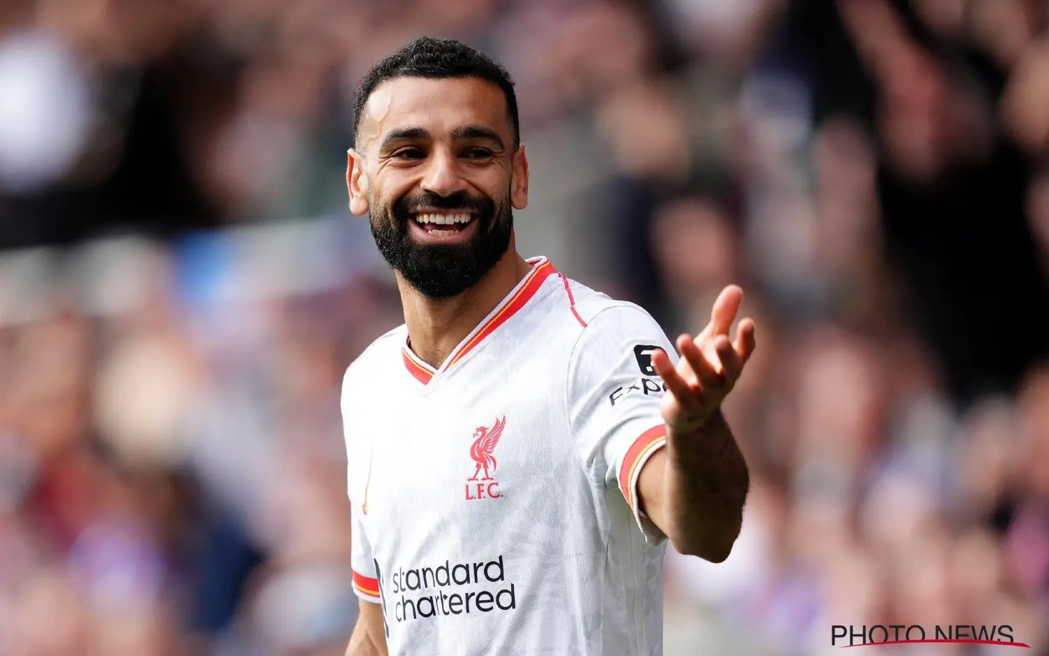 241017mosalah