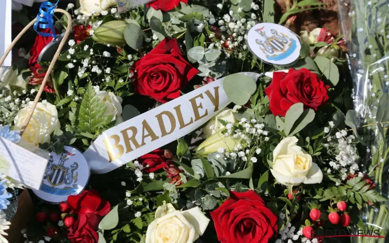 bradley photonews
