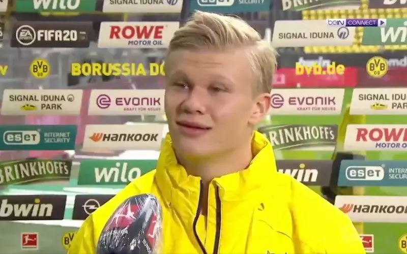 erlinghaalandinterview