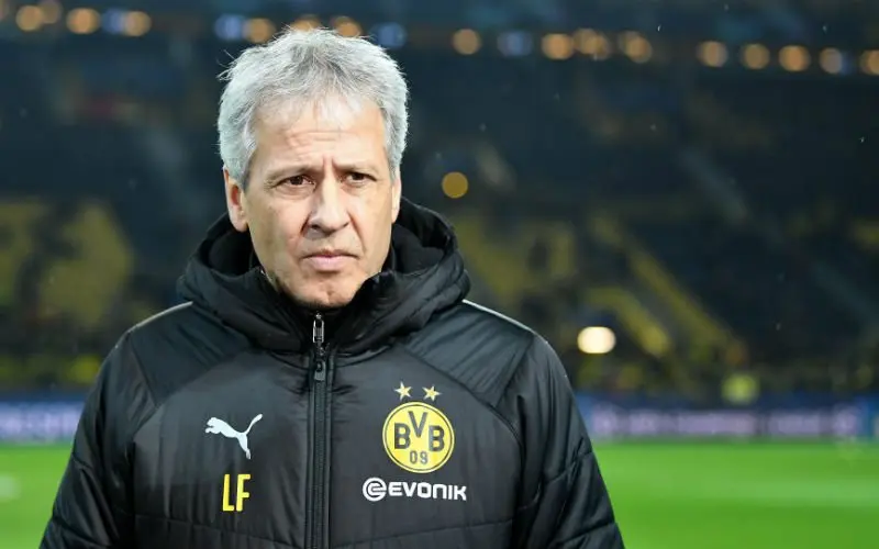favre 1