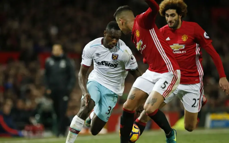 fellaini