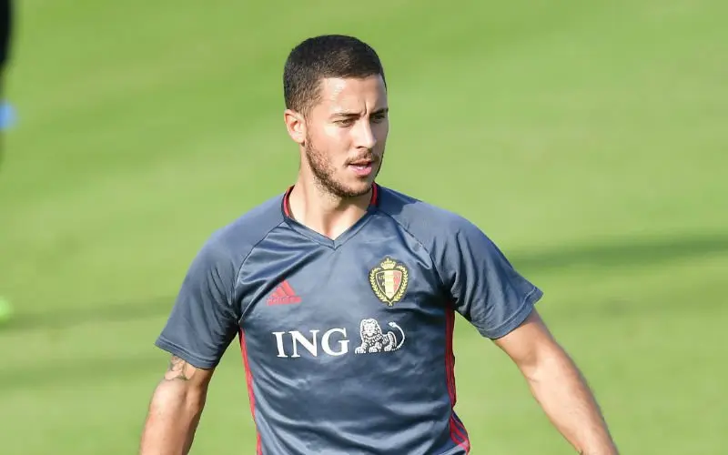 hazard 24
