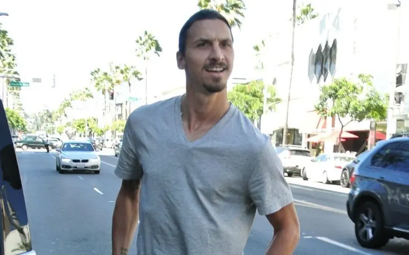 ibrahimovic 10