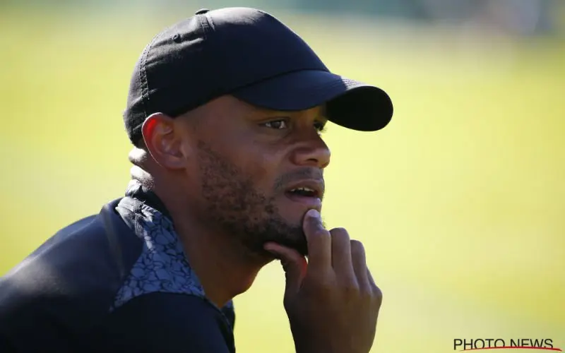 kompany 36