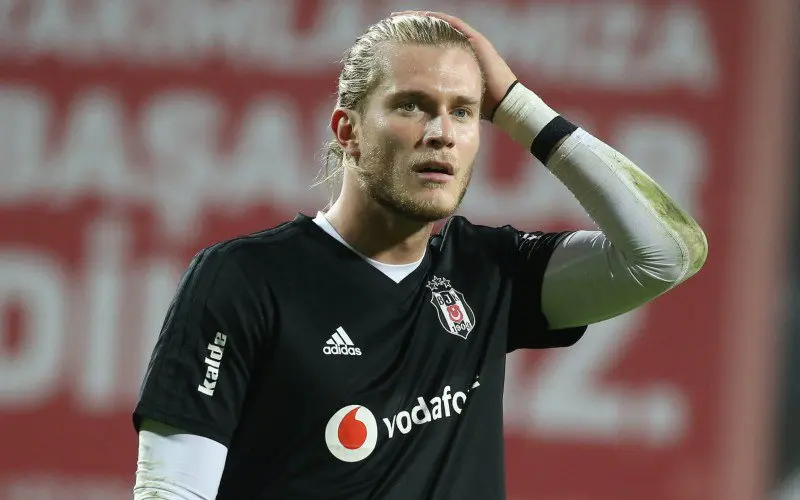 loriskarius951