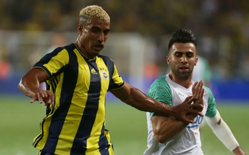 nabildirar 33
