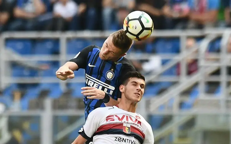 pellegri