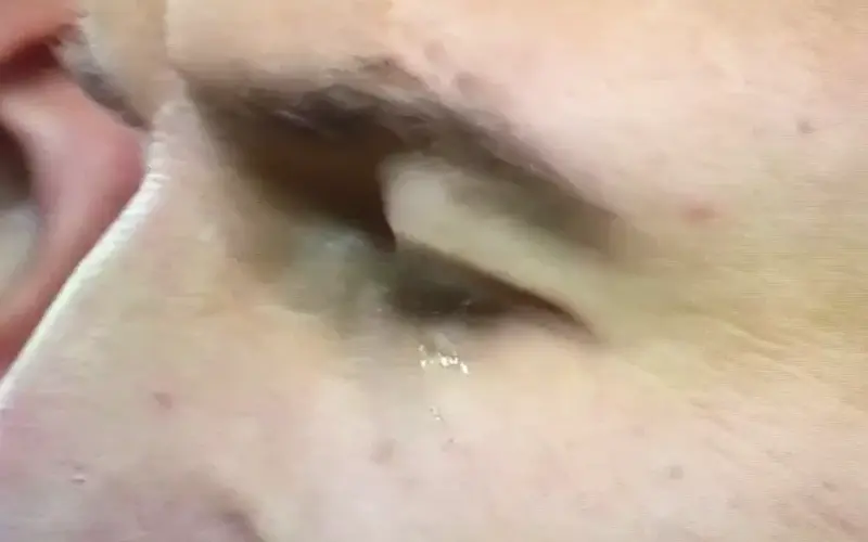 screenshot 111