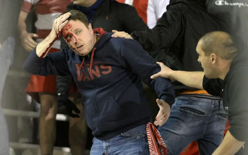 standardfans
