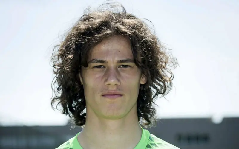 svilar 2