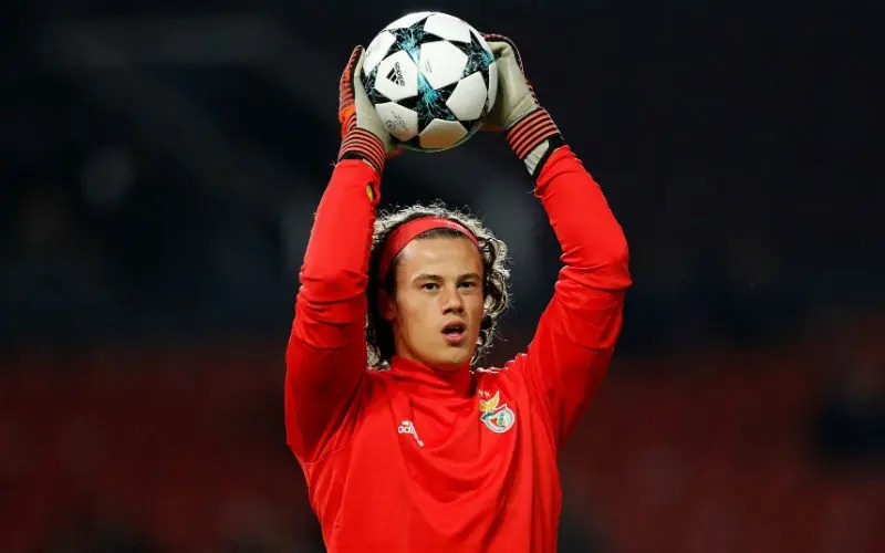svilar66