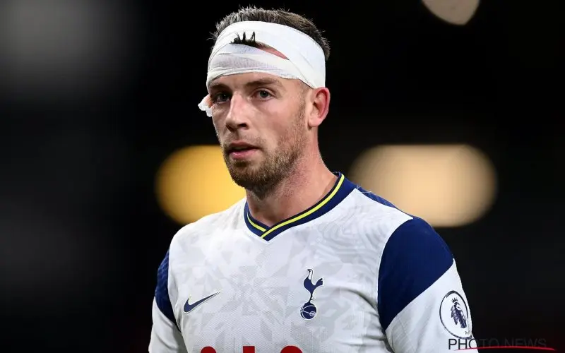 tobyalderweireld184