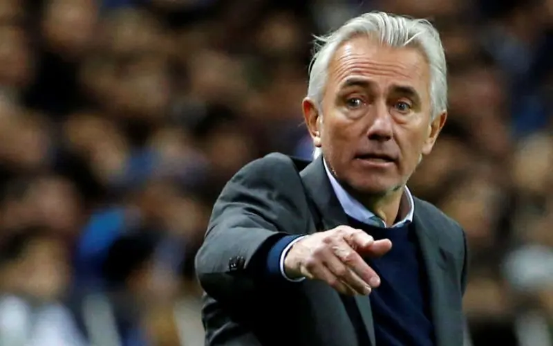 vanmarwijk