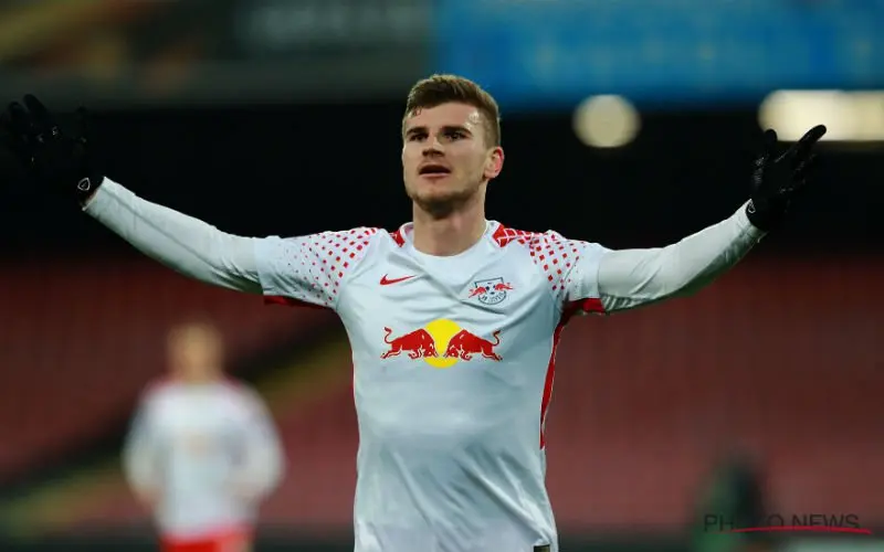 werner timo