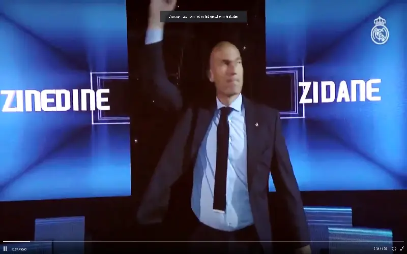 zidanegoodbye
