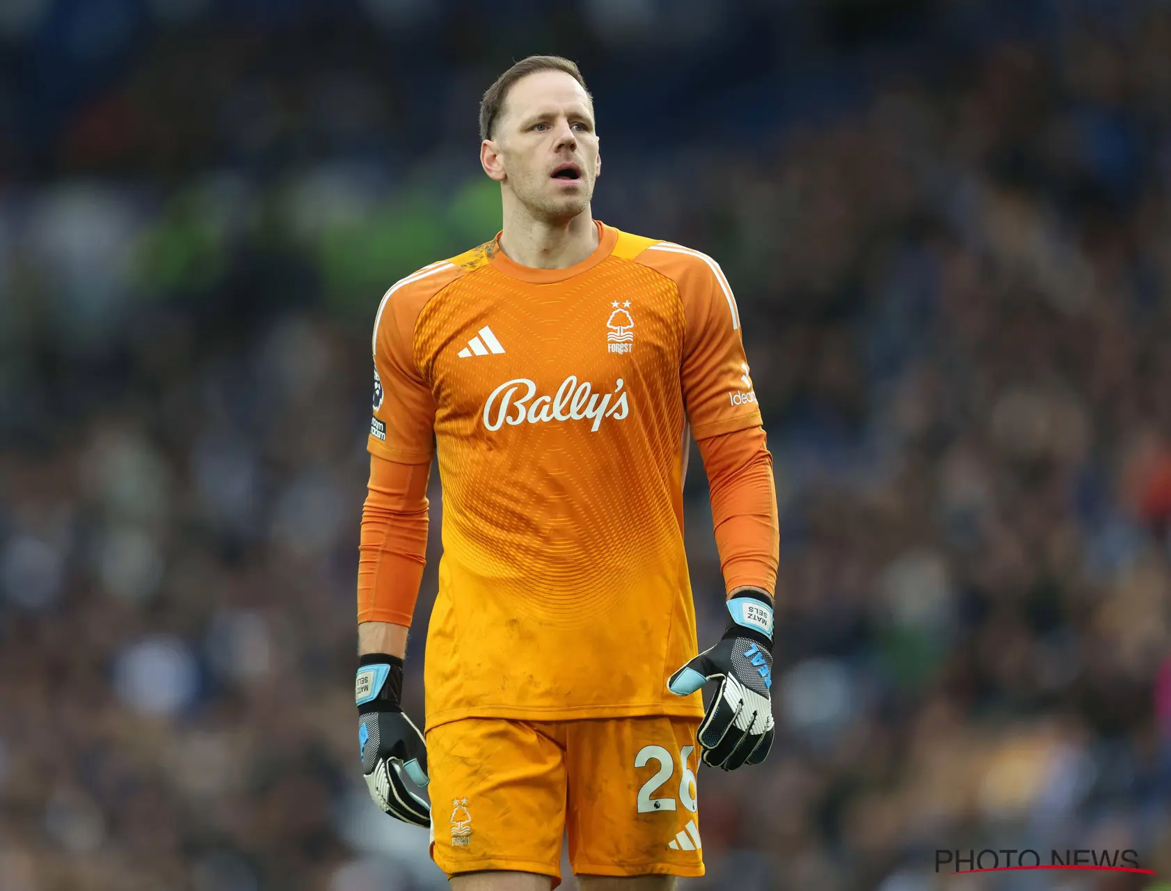 Matz Sels