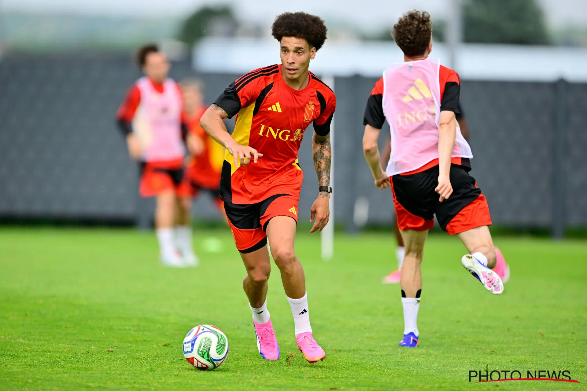 Witsel