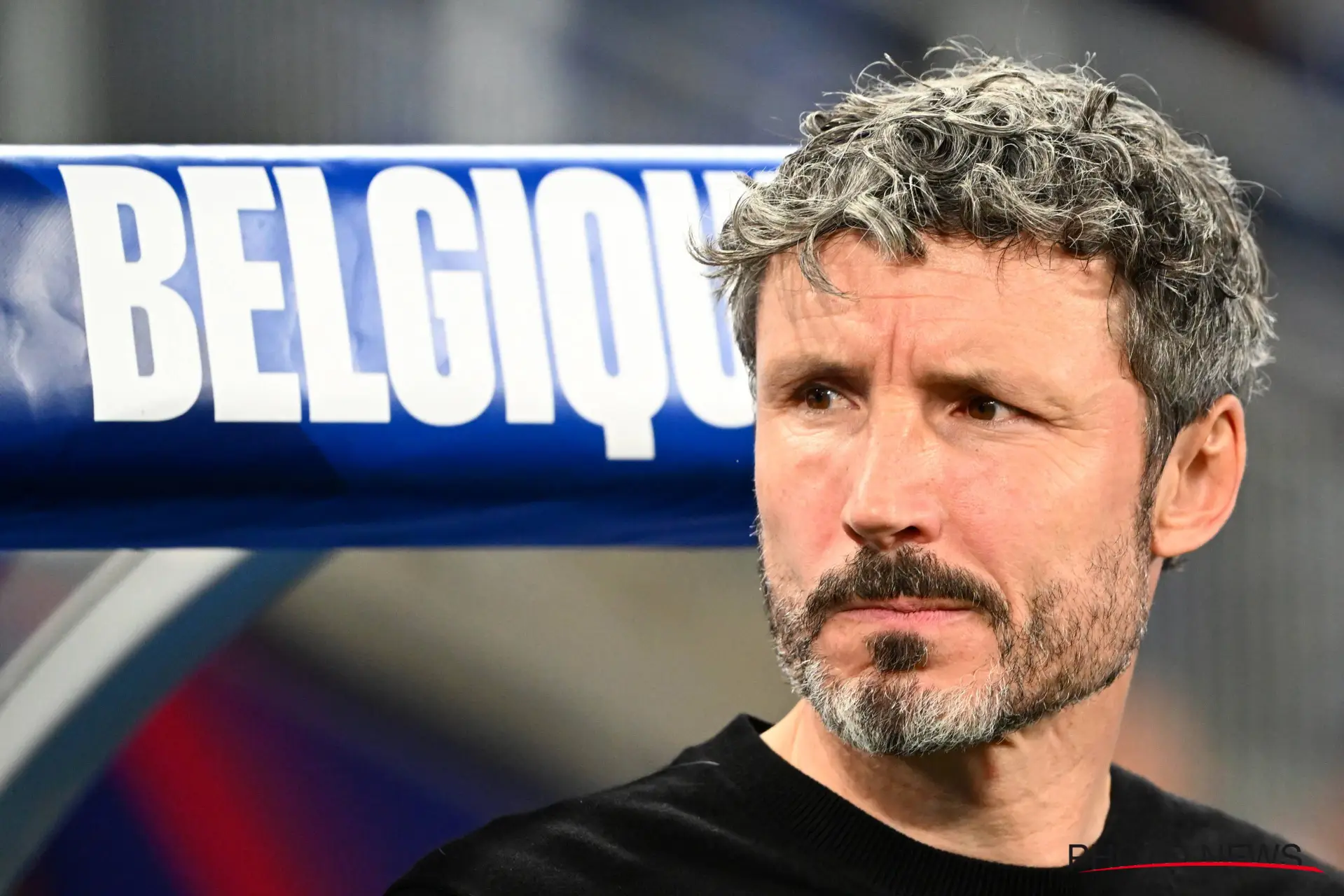 Van Bommel