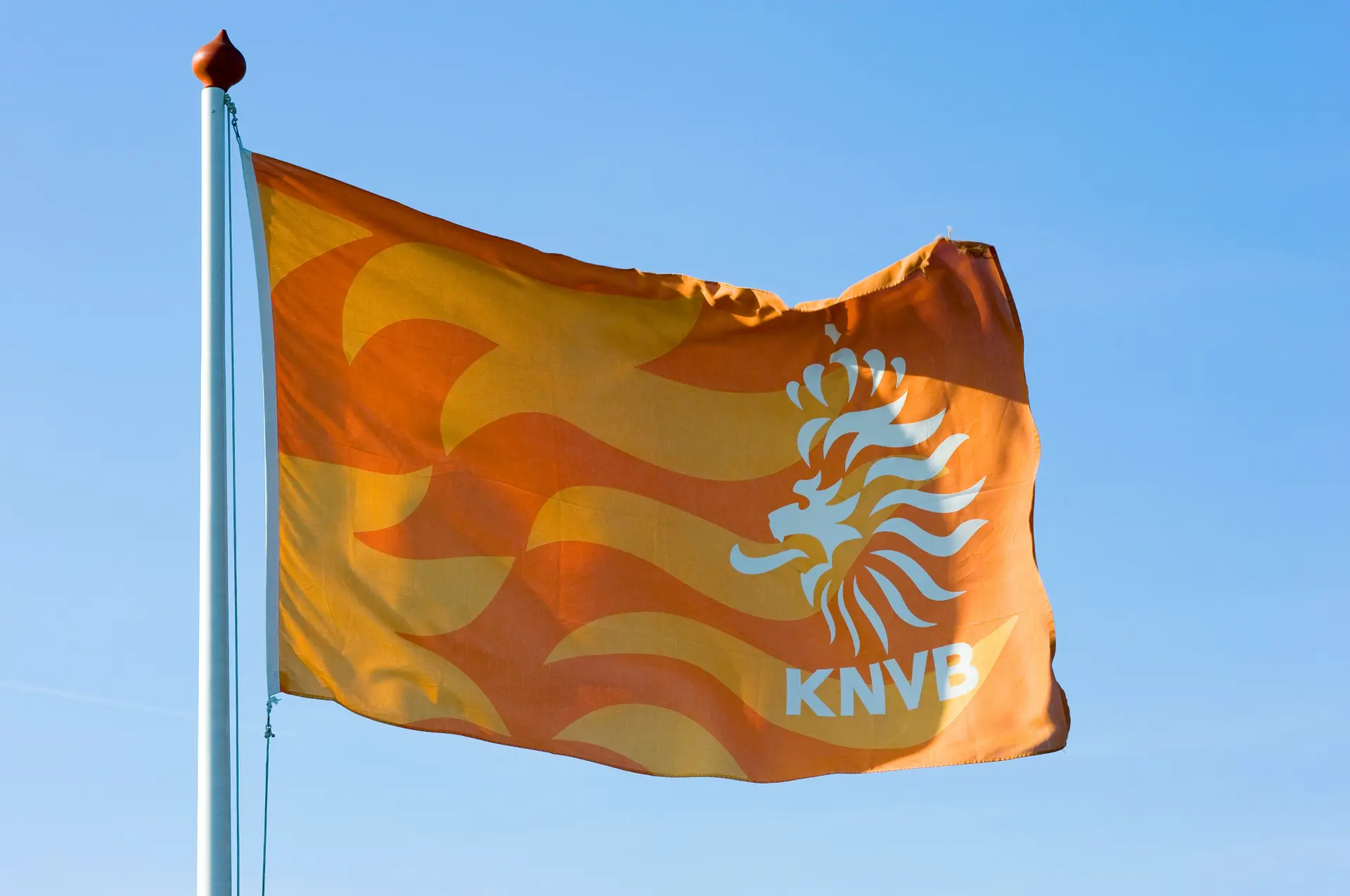 anp 150477980