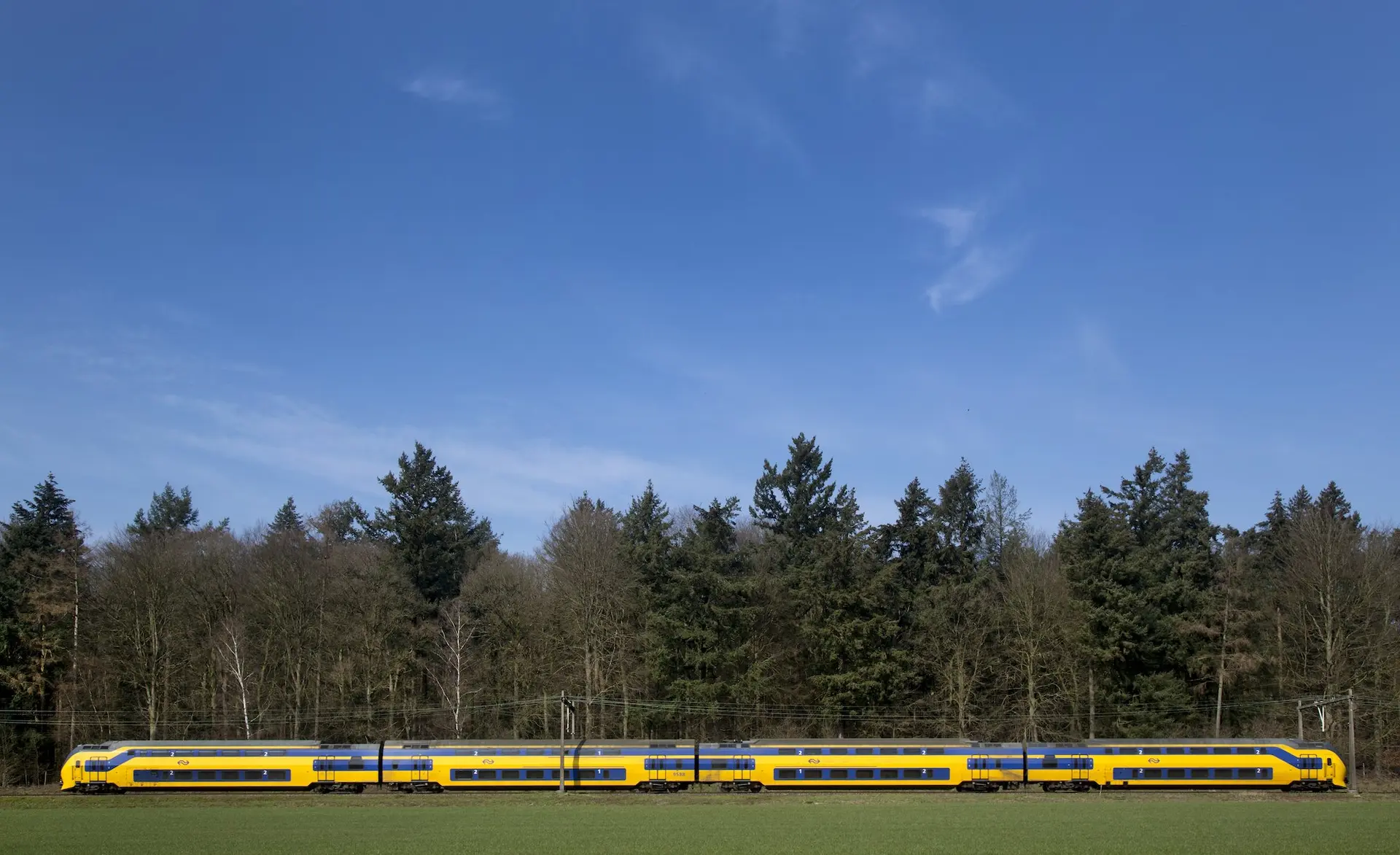 anp 429528505