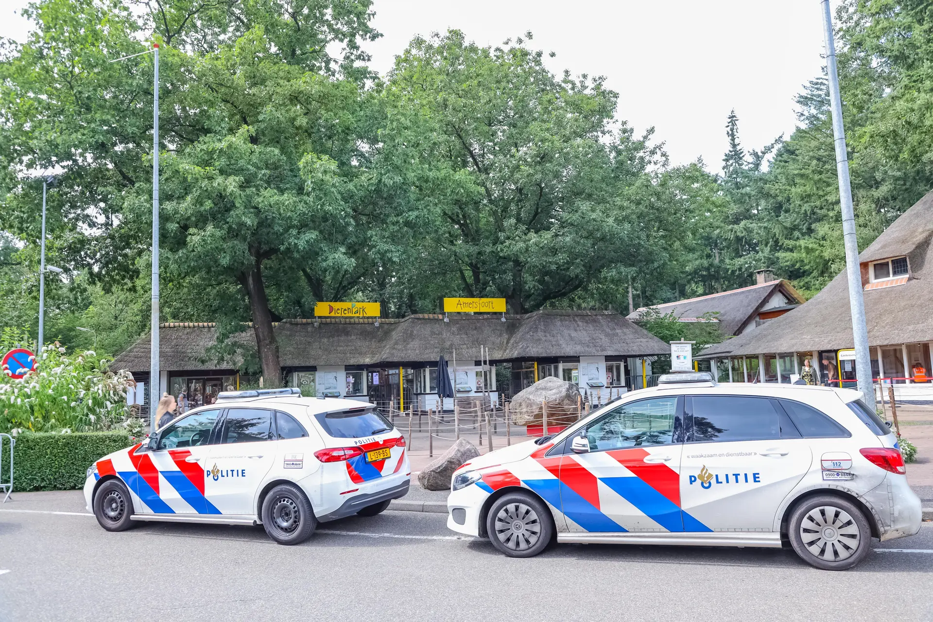 anp 436513682
