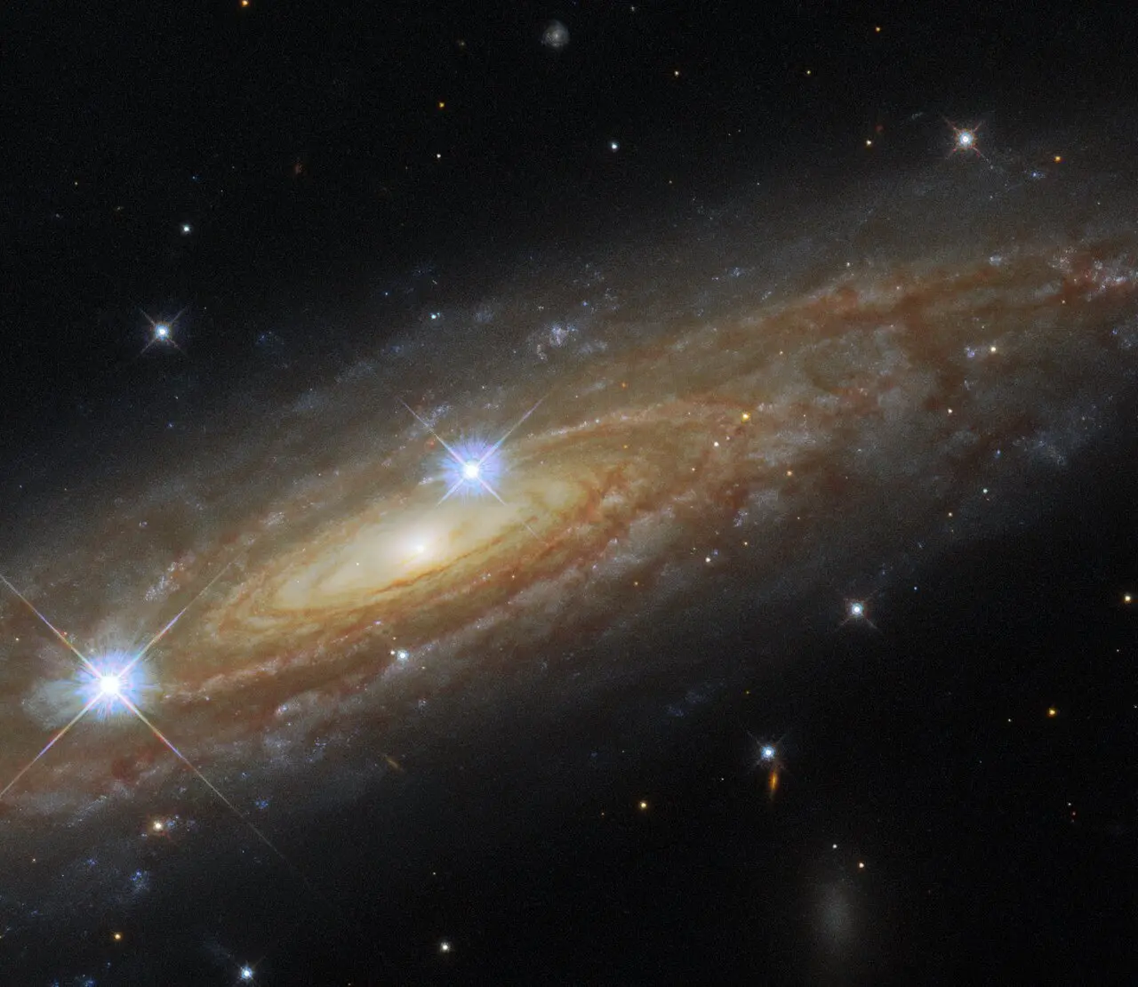 anp 442181940
