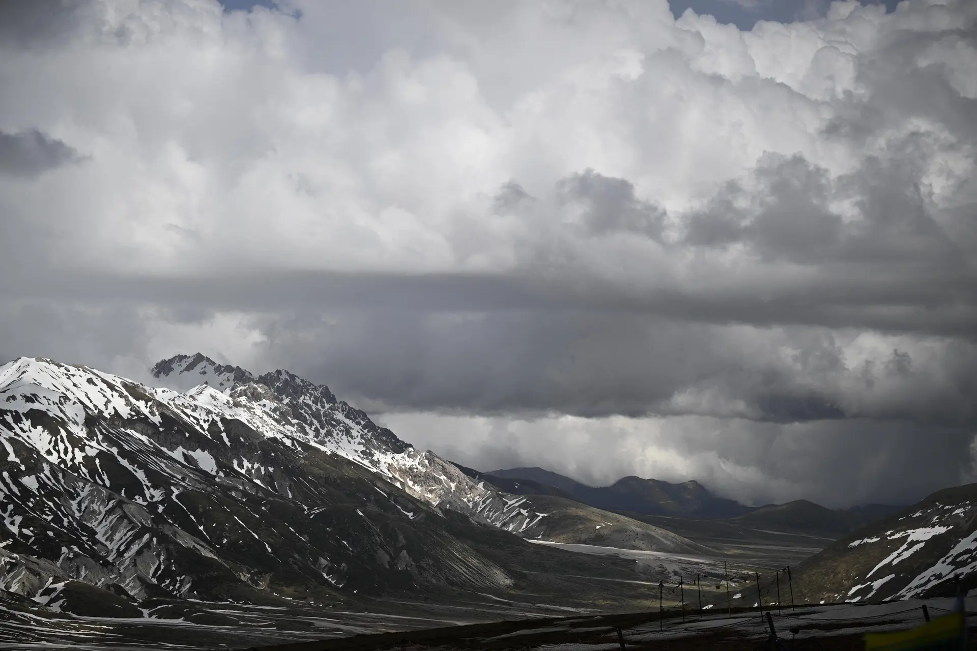 anp 469084927