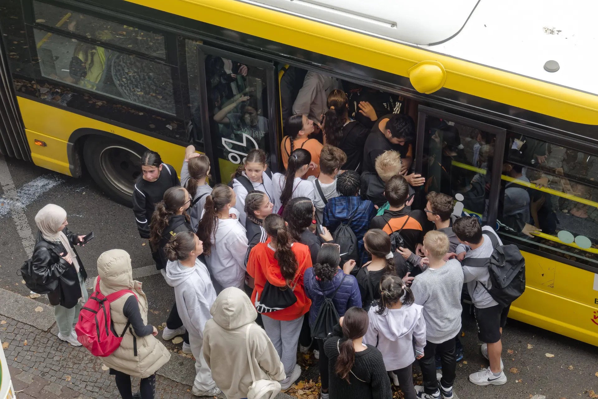 anp 480214227