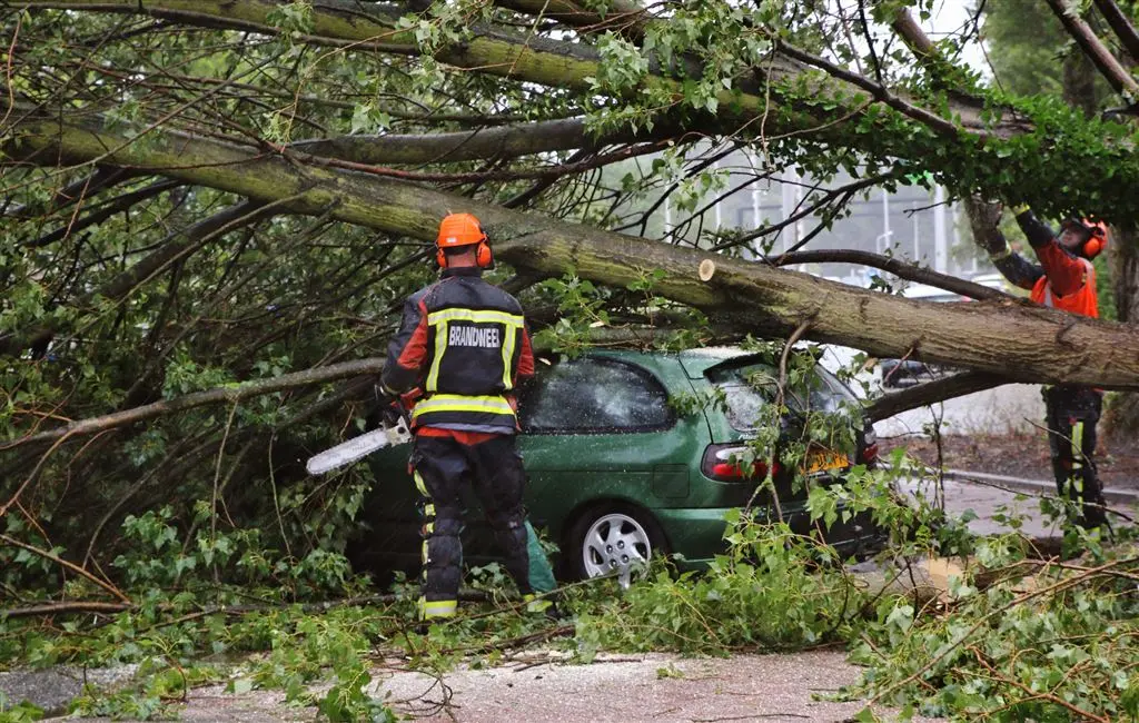 blijf zondag weg uit het bos1437892354