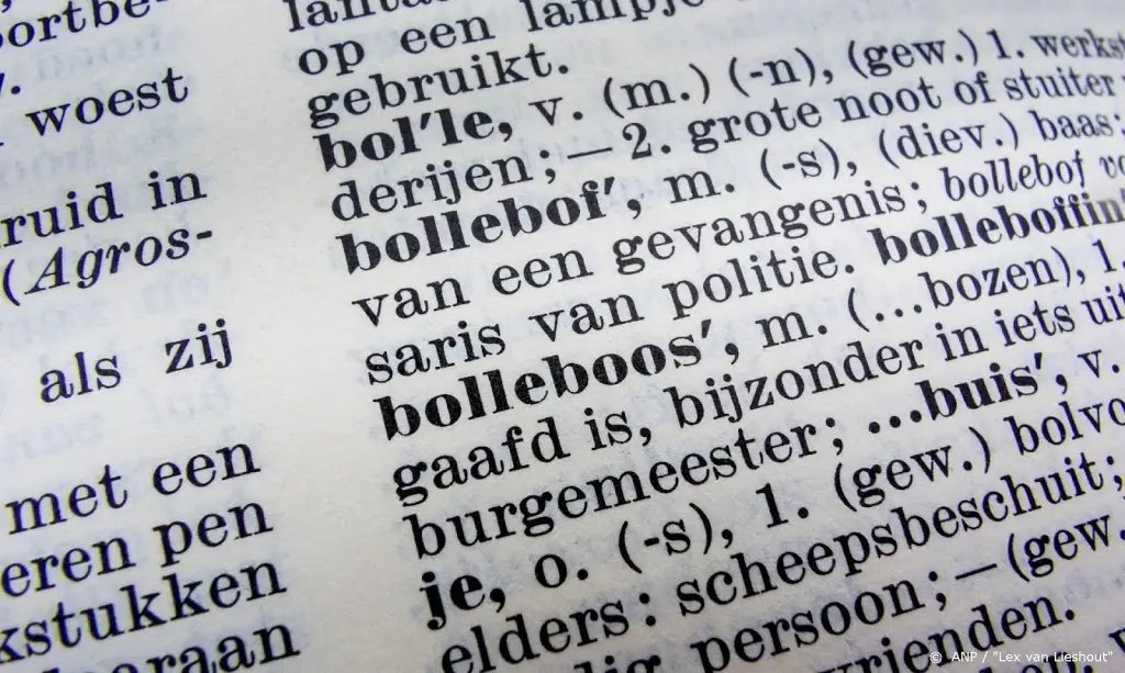 boomer woord van het jaar 20191576557390