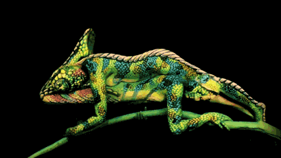 cameleonbodypainting 01