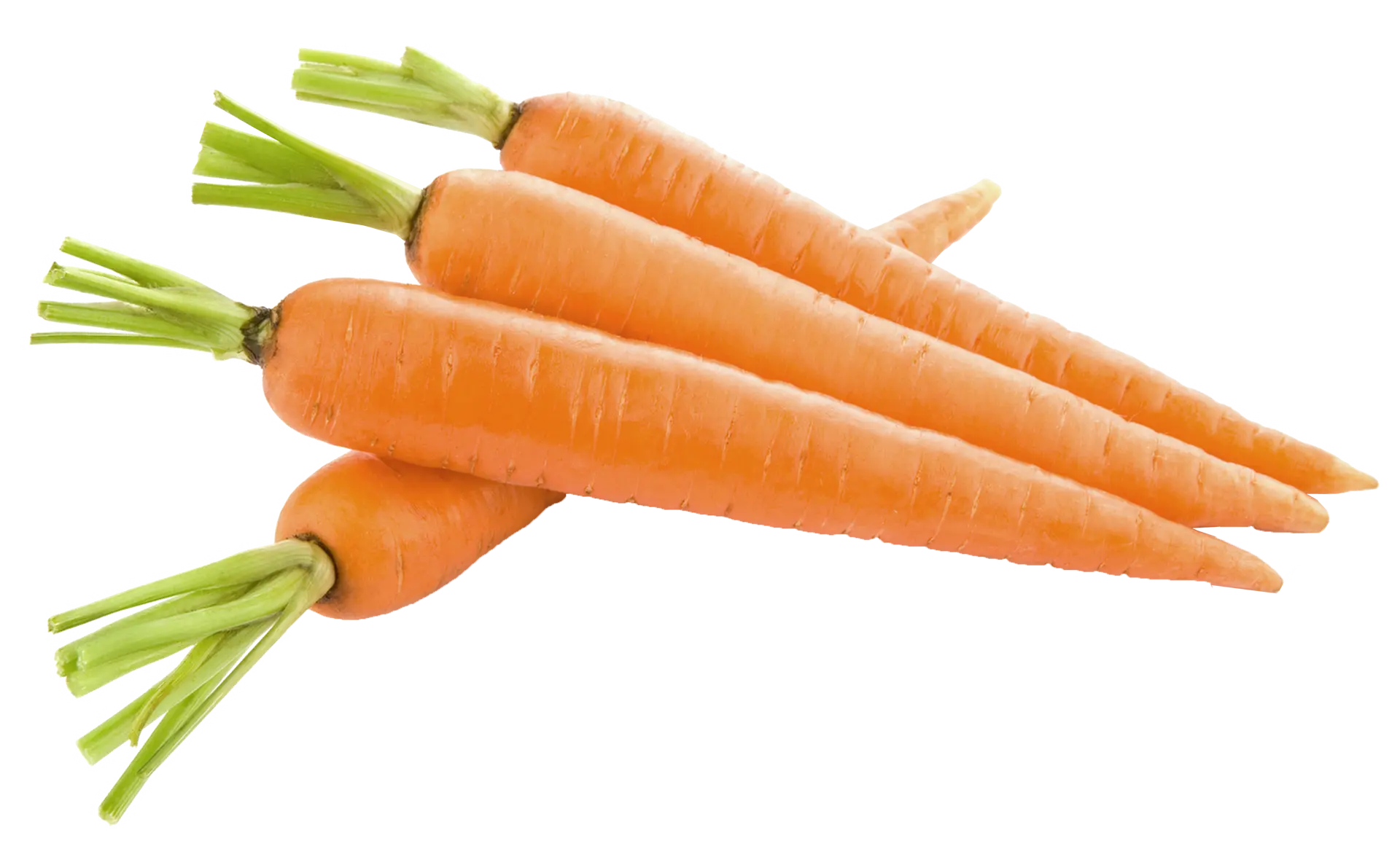 carrot png49852