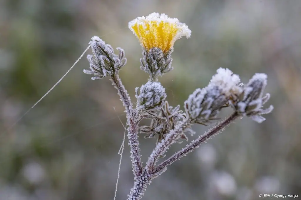 eerste matige vorst deze winter gemeten in het noordoosten1639185689