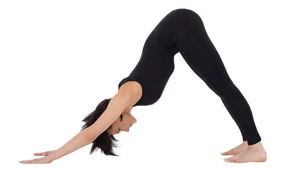 hatha yoga