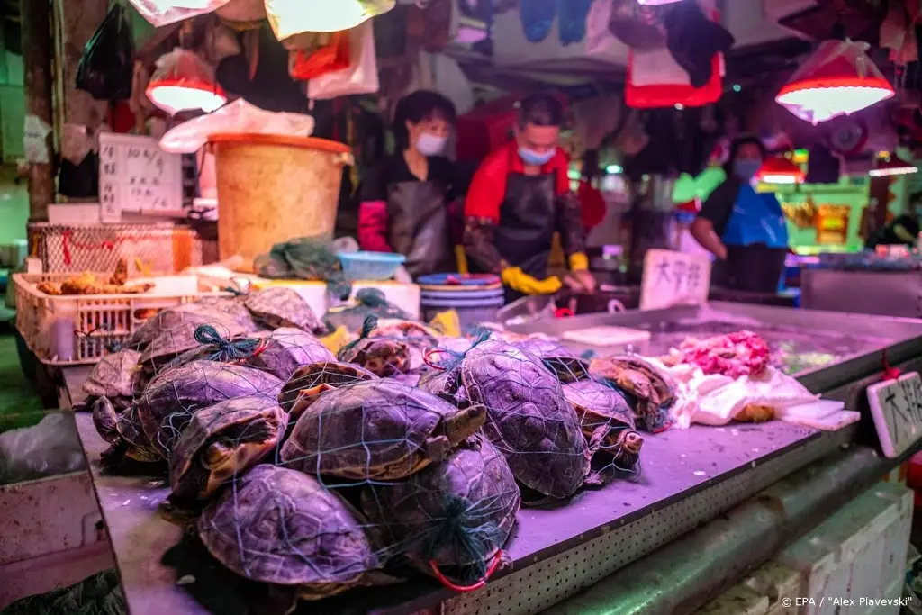hoge straffen voor jacht en illegale handel wilde dieren in china1590120265