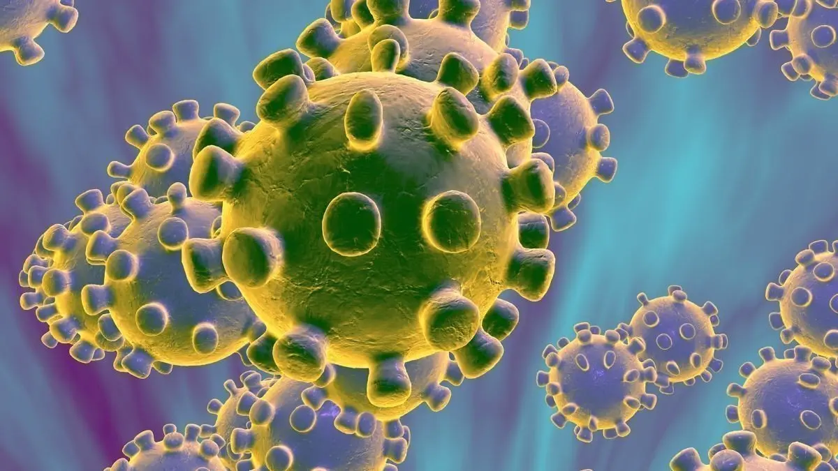https cdncnn com cnnnext dam assets 200108214800 coronavirus