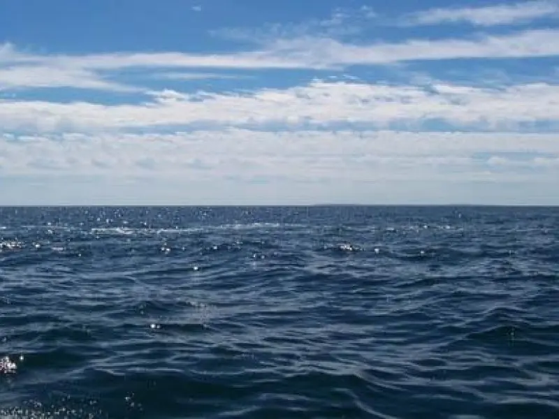 image 794241