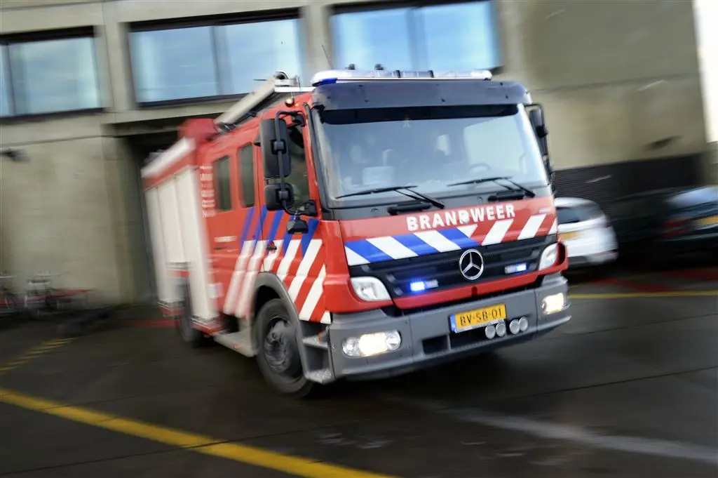 moeder redt kinderen en dieren van brand1458101851
