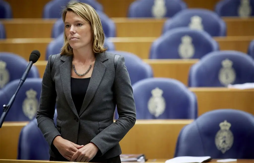 pvdaer bouwmeester stopt na verkiezingen1472110609