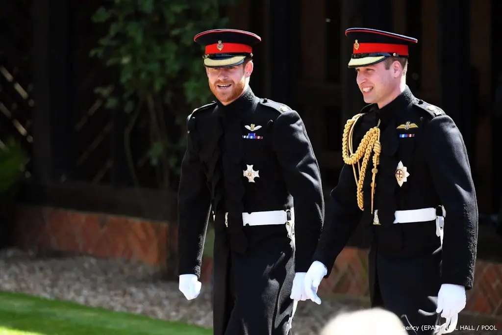 relatie william en harry aan de beterende hand1610331130