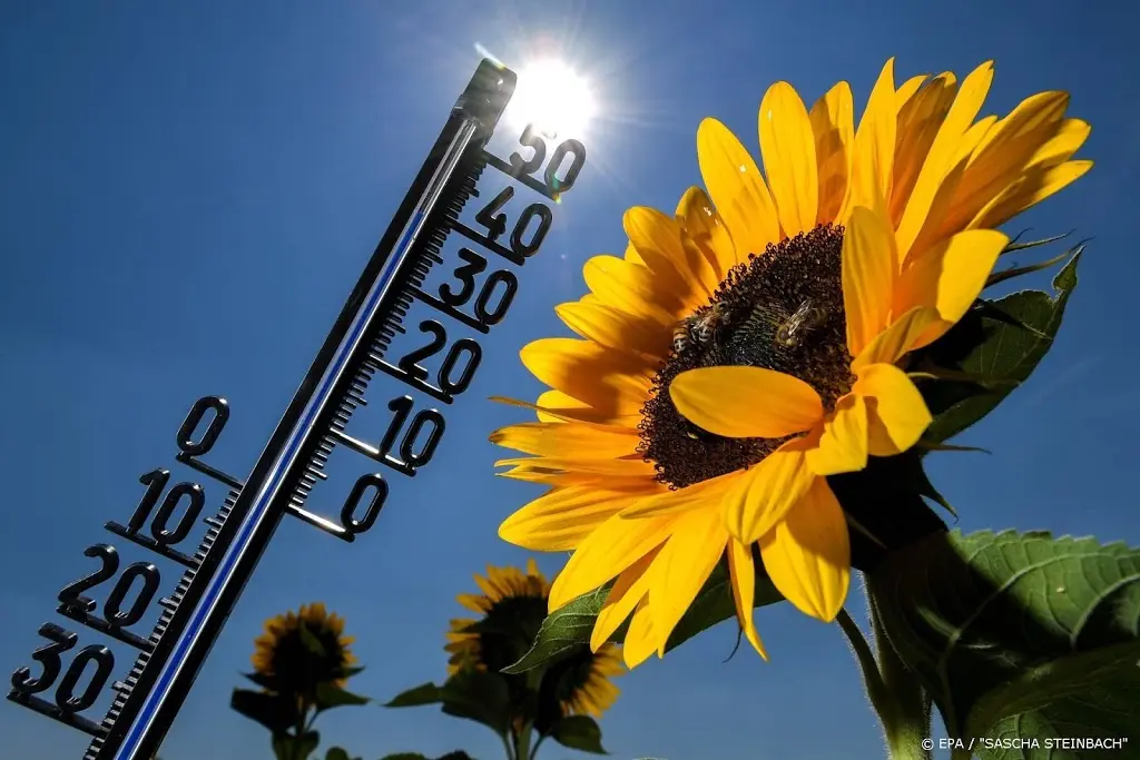 we krijgen een officiele hittegolf met tropische temperaturen1596939850